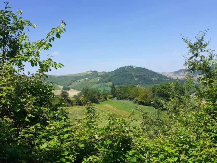 Ai Boschi Apartman Ozzano dell'Emilia Kültér fotó