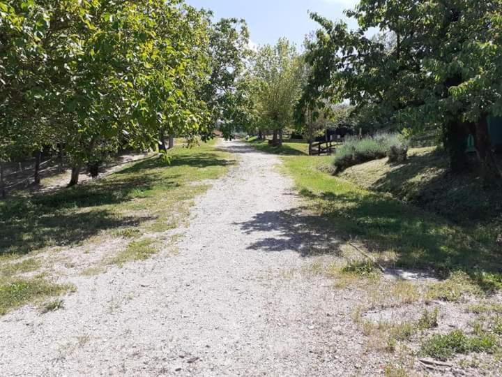 Ai Boschi Apartman Ozzano dell'Emilia Kültér fotó